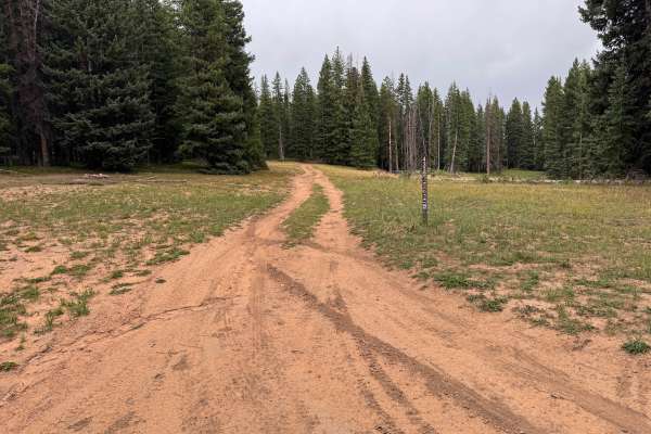 Moniger Road