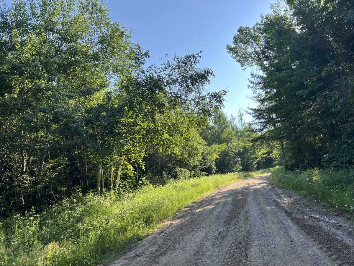 Northwoods Drive trail photo