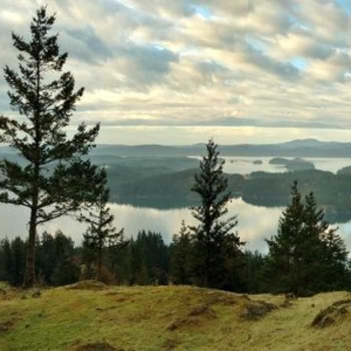 Near Tour of Turtleback Mountain Preserve