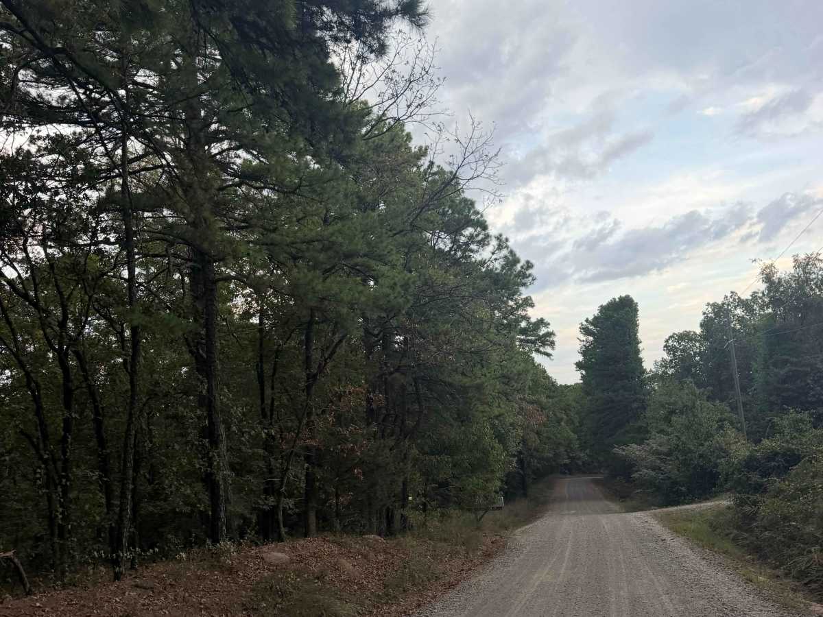 Trail 86 photo 4