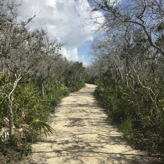Near Fort Matanzas Overlook Trail