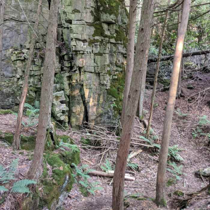 Metcalf Trail section - easy trail section Near Duncan Escarpment