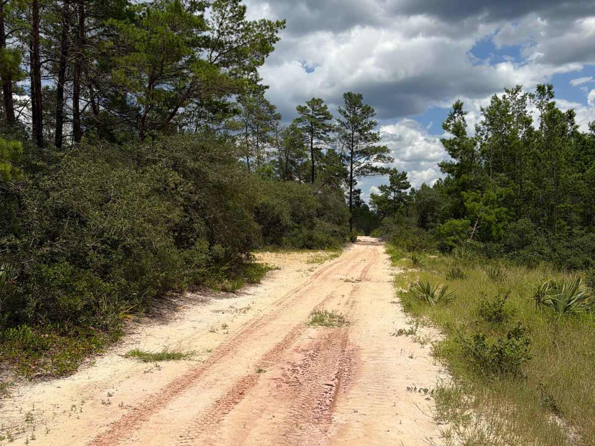 ONF 2-2.0 trail photo