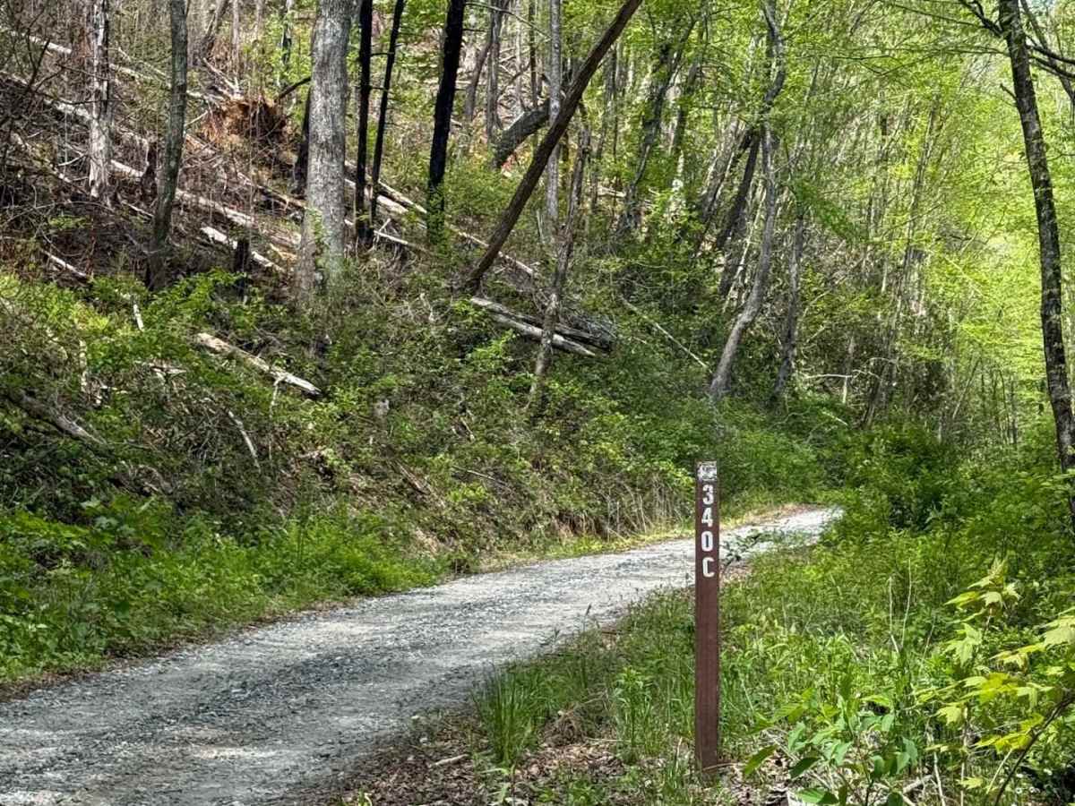 Long Branch - FS 340C trail photo