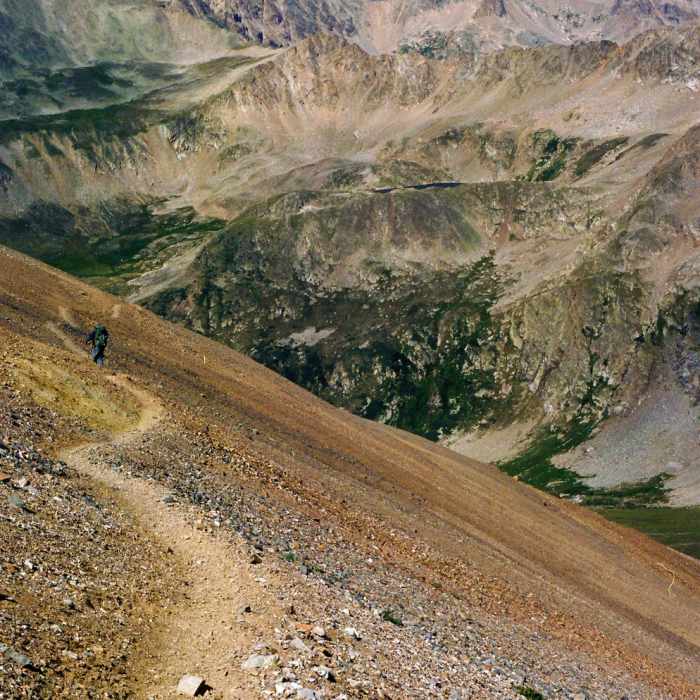 Near Mt. Bross Trail