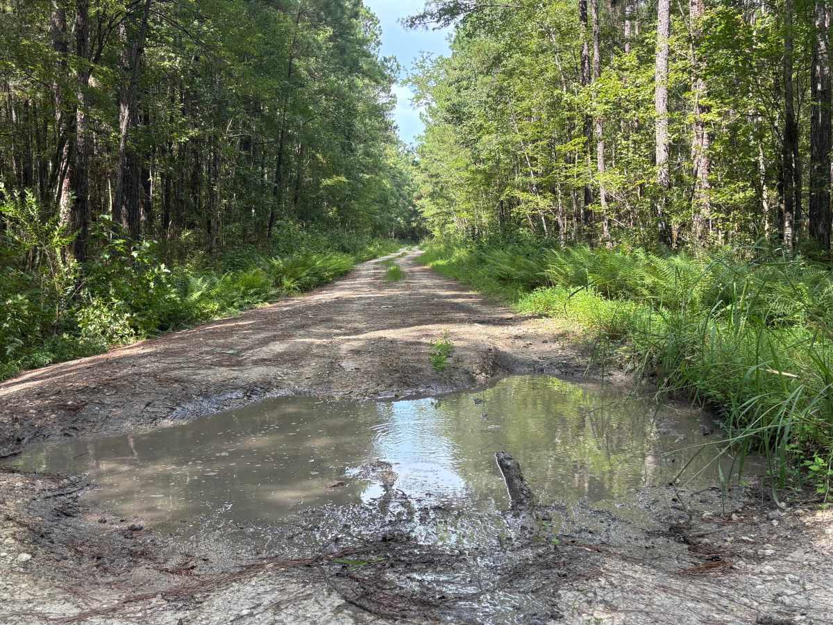 Litchfield Trail  photo 2