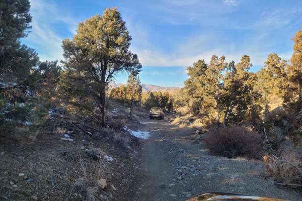 Wellington Hills Road - 42778