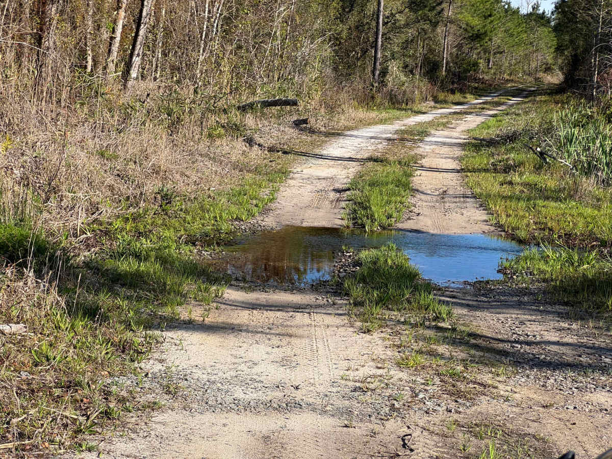 Strut Road photo 4