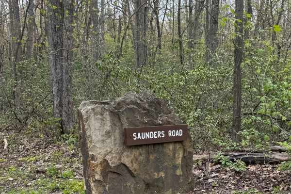Saunders Road