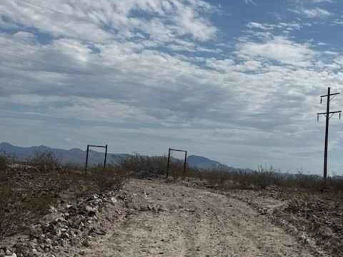 BLM SS1038 photo 4