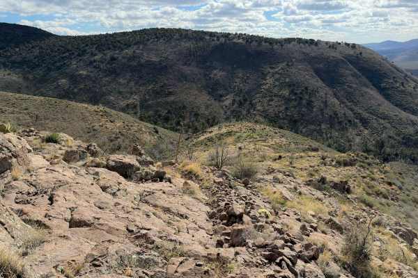 Cottonwood Trail #8 (Singletrack)