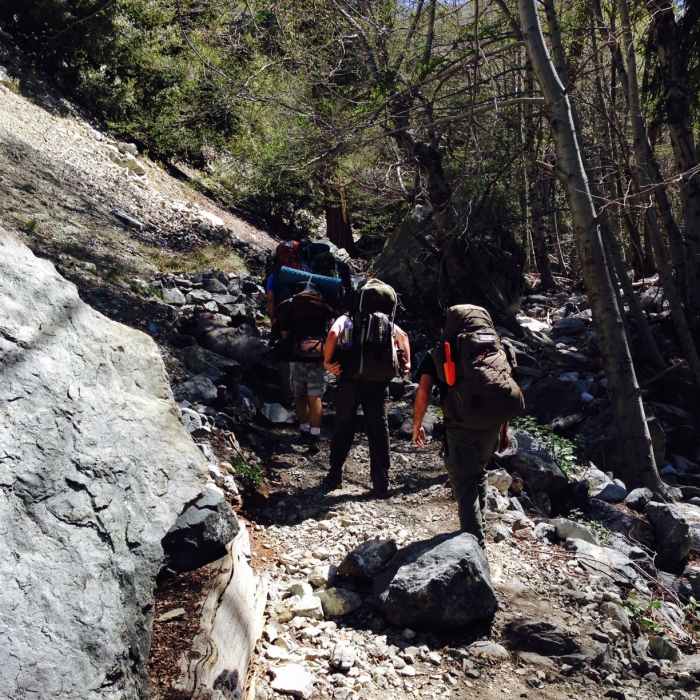 Near Timber Mountain