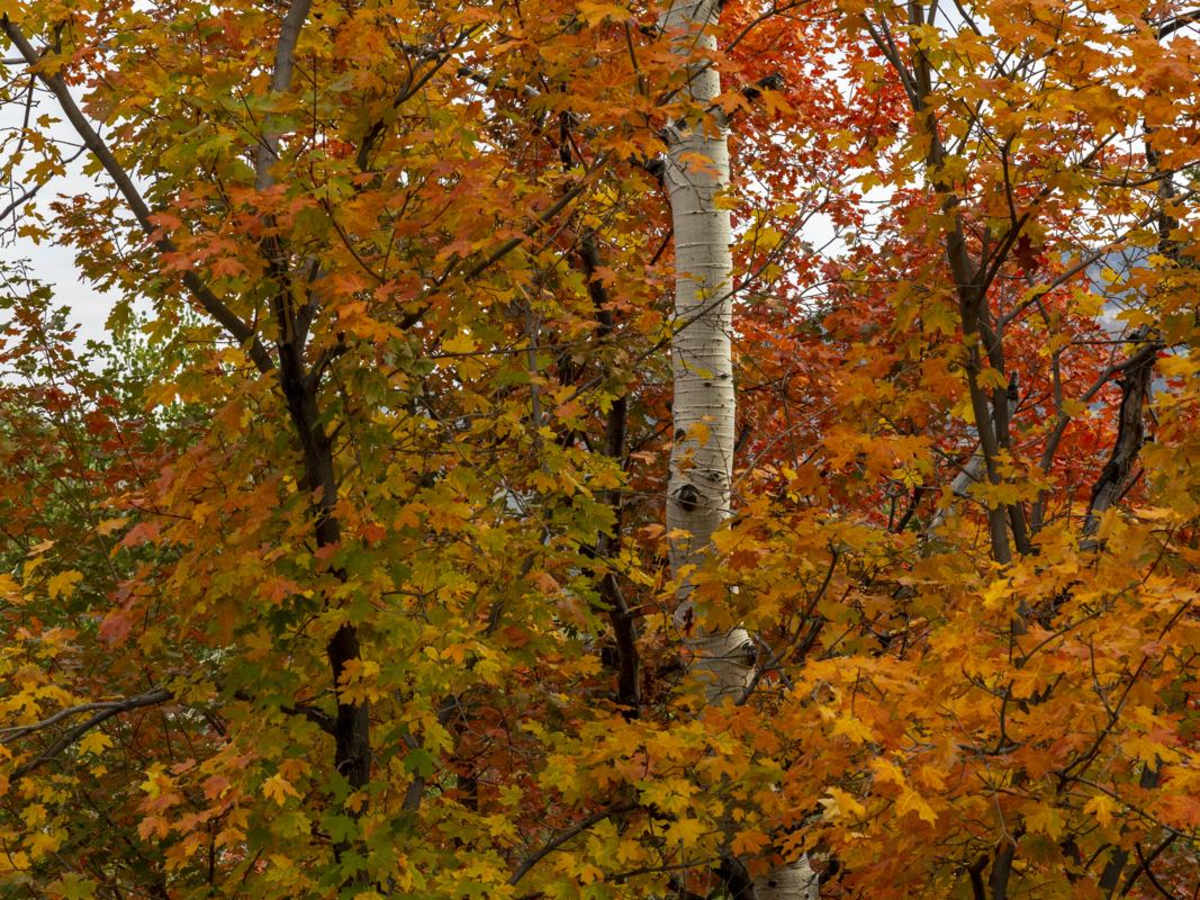 Water Hollow Road photo 4