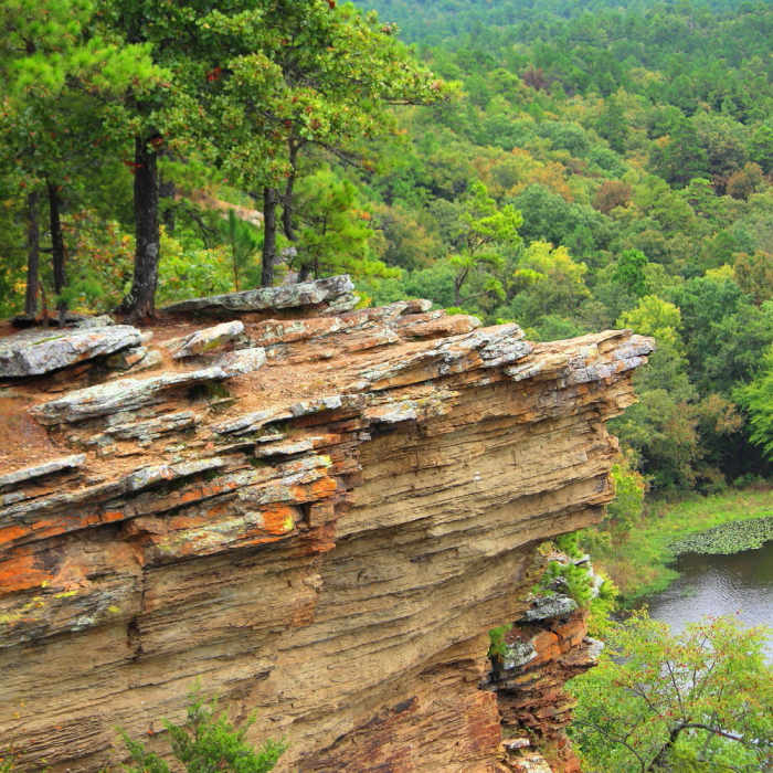 Near Mountain Trail
