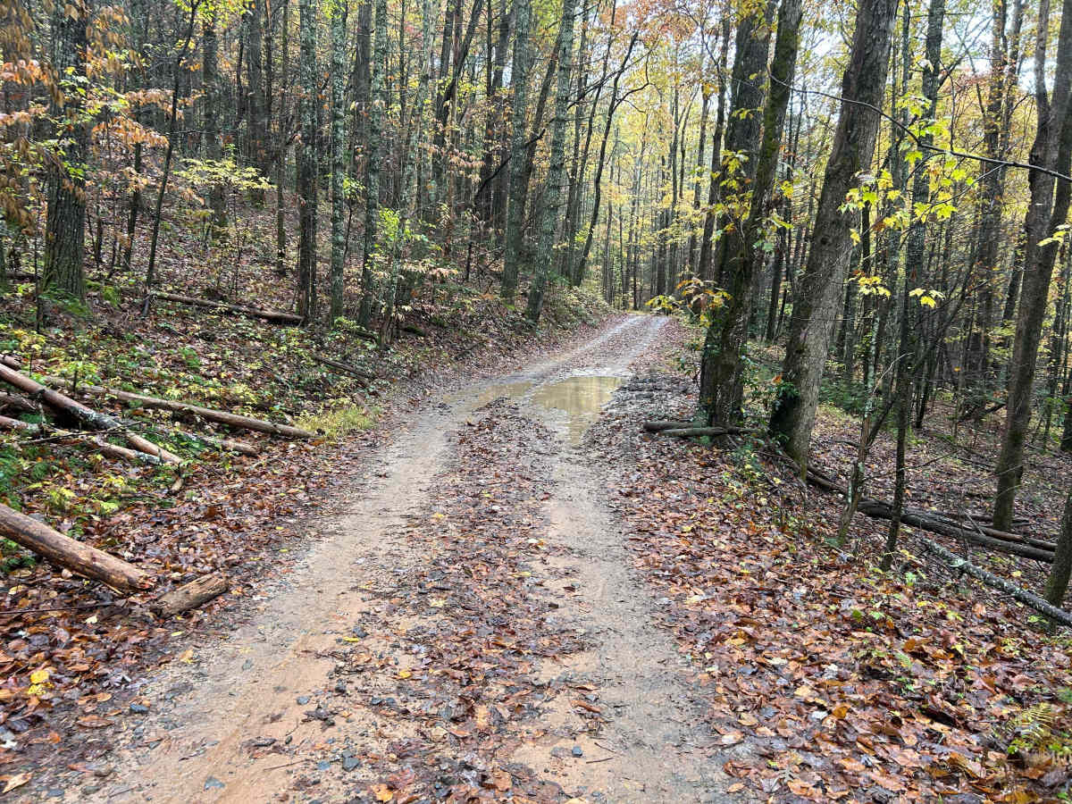 Toccoa River Road - FS 333 trail photo