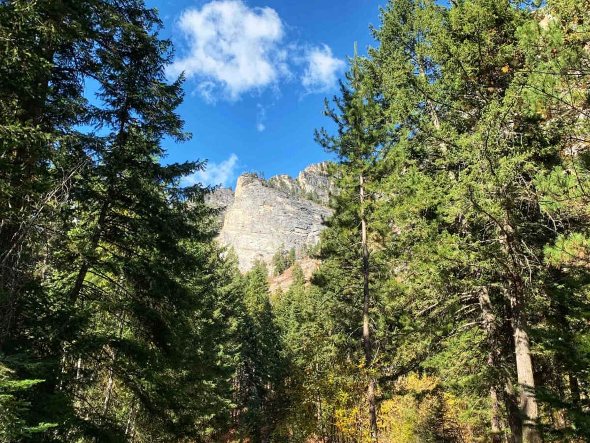 Blodgett Hiking Trail and Campground photo 2