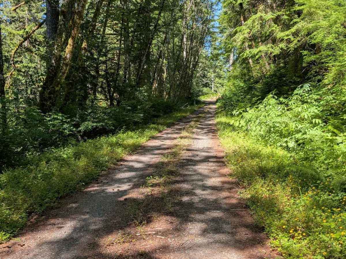 Lake Creek Rd - FS 3210 trail photo