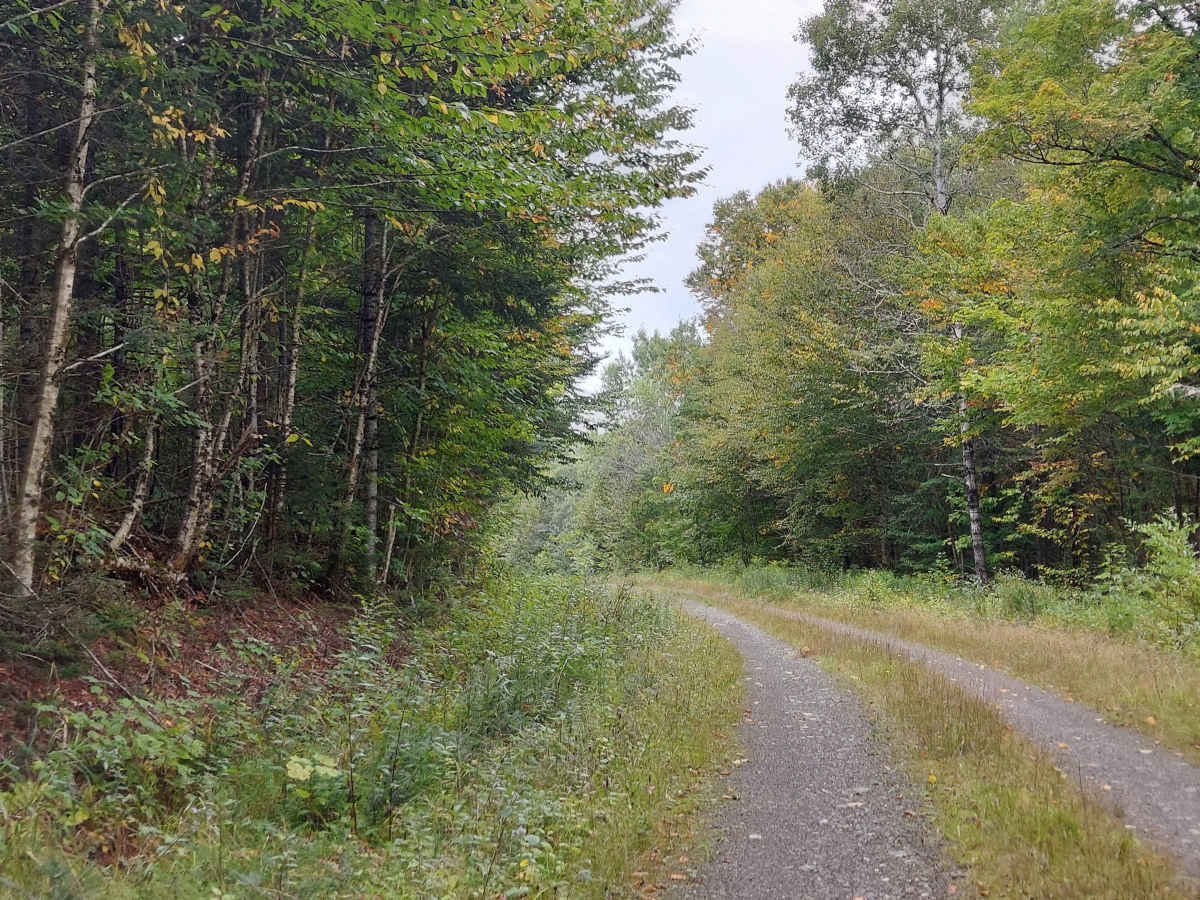 Schoppe Brook Road photo 4