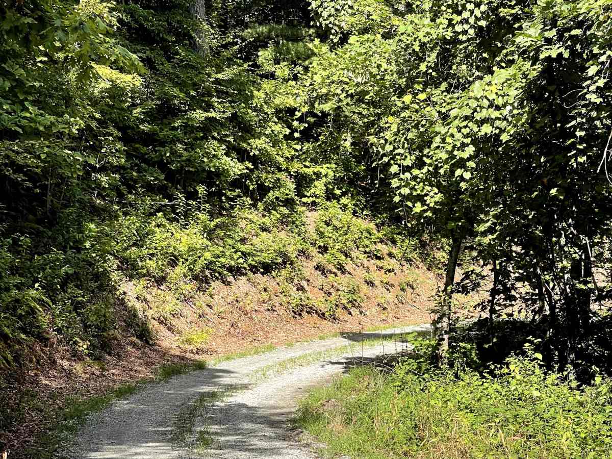 Cotrel Knob Trail photo 4