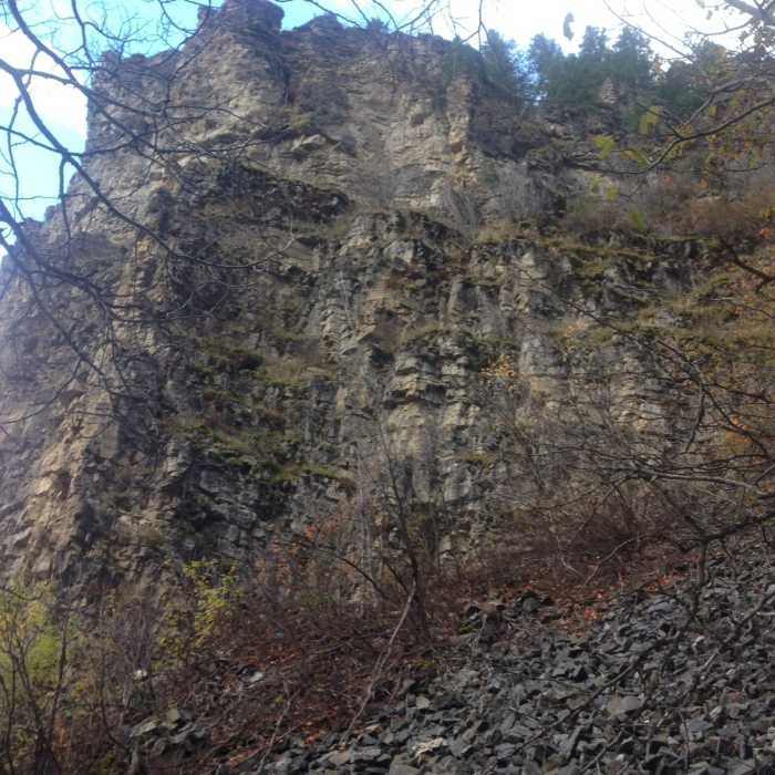 Near Leatham Hollow Trail