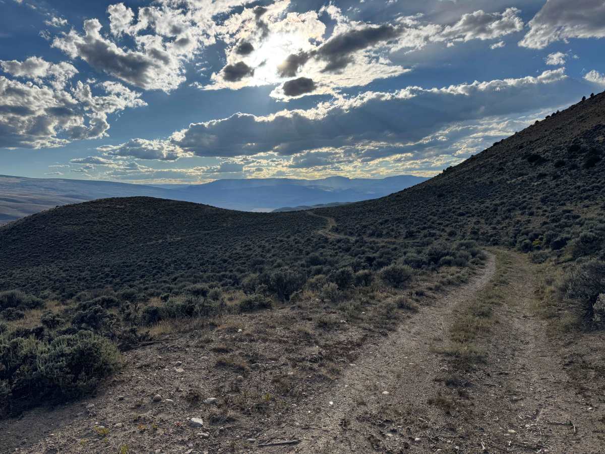 BLM 8534 photo 6
