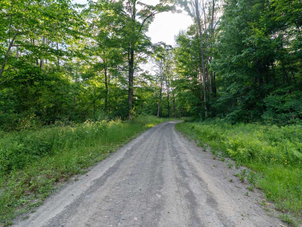Truck Trail 8 photo 6