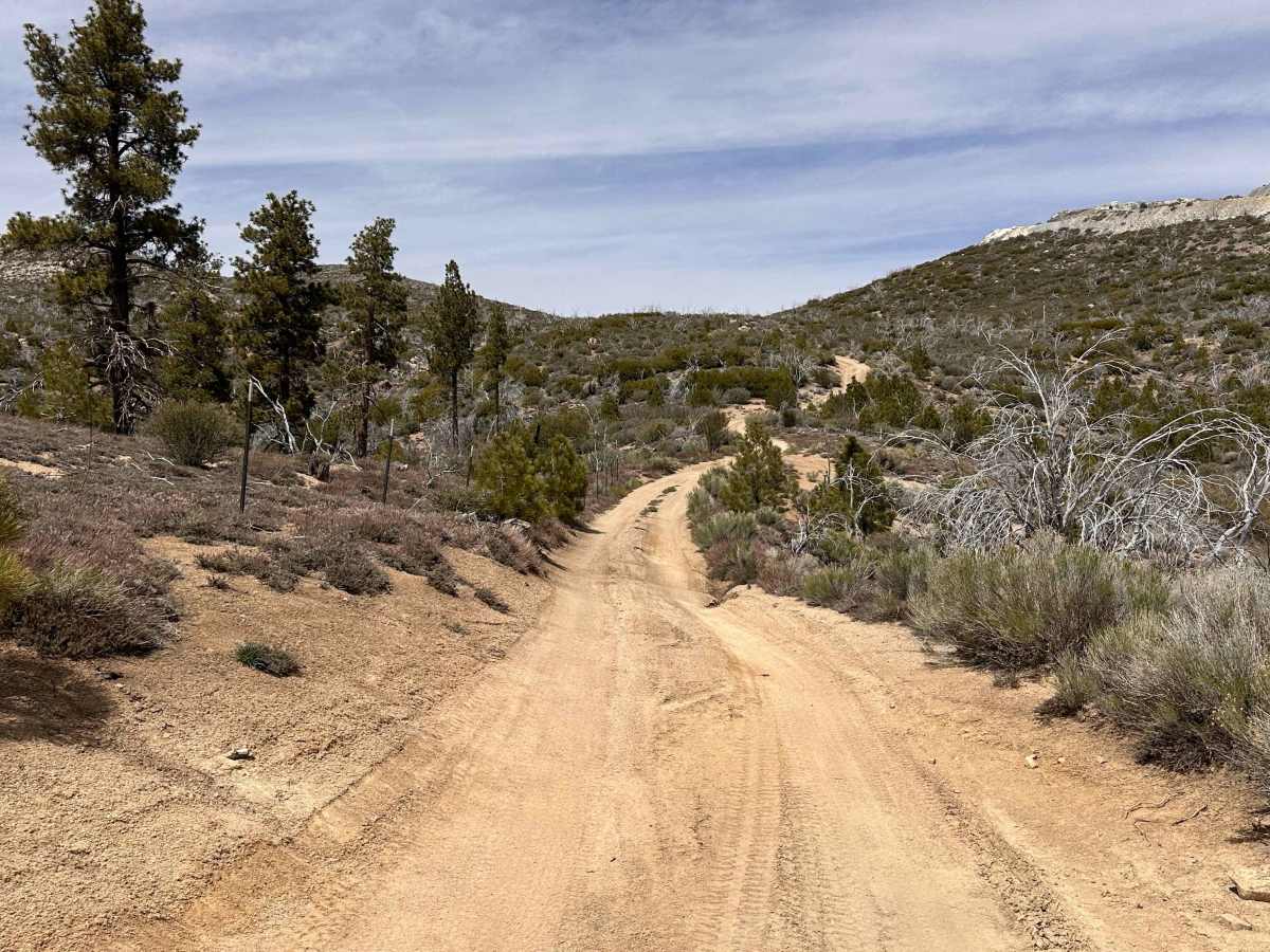 Saltbrush Trail photo 6