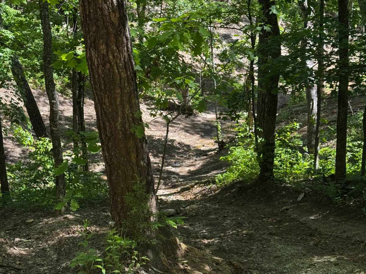 Inner Track 29 trail photo