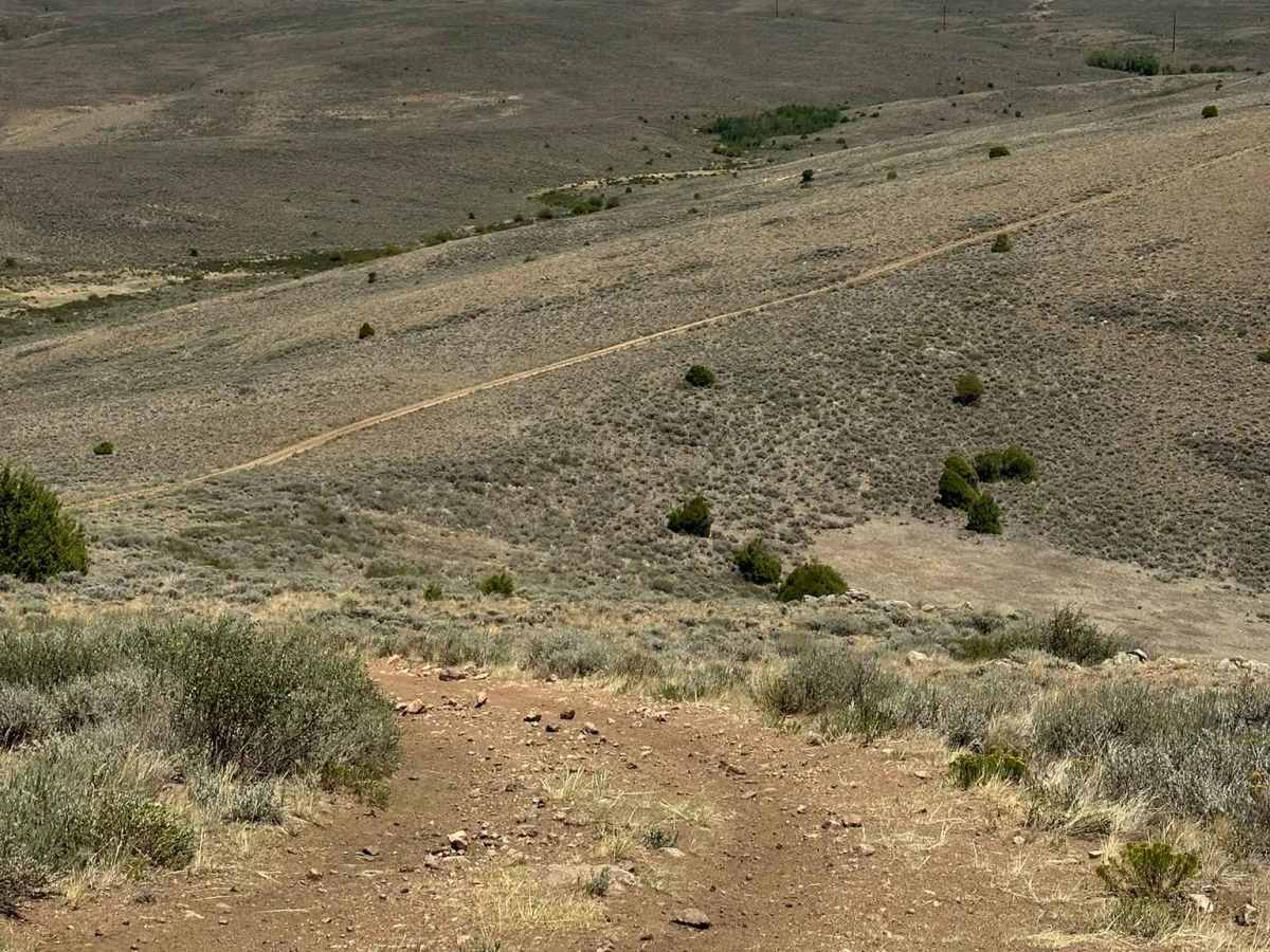 Jensen Creek Ridge Road trail photo