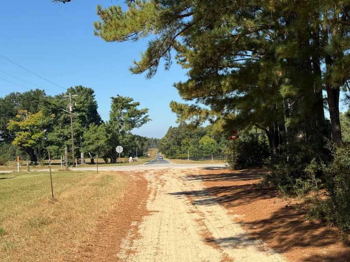 Ellerbe Tower Lane trail photo