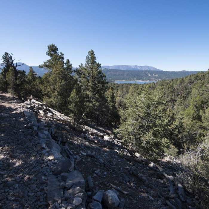 Near Cougar Crest Trail