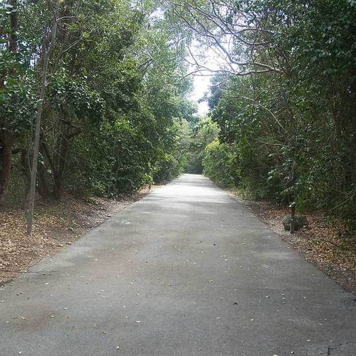 Paved beginning of trail Near Dagny Johnson Park