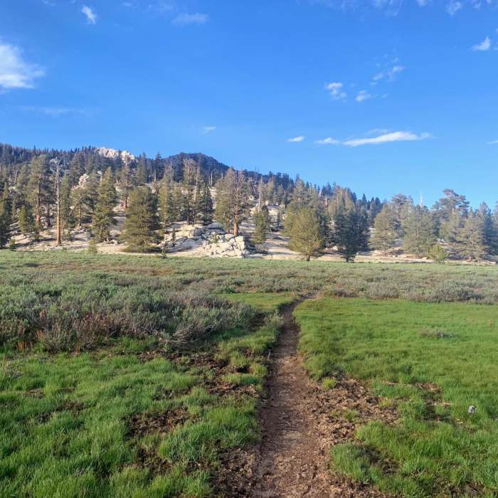 Near Trail Pass Trail