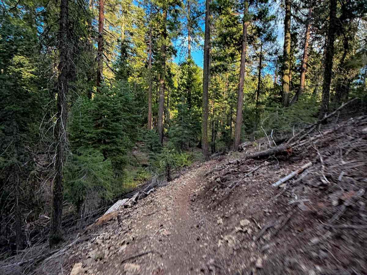 QTC  trail photo