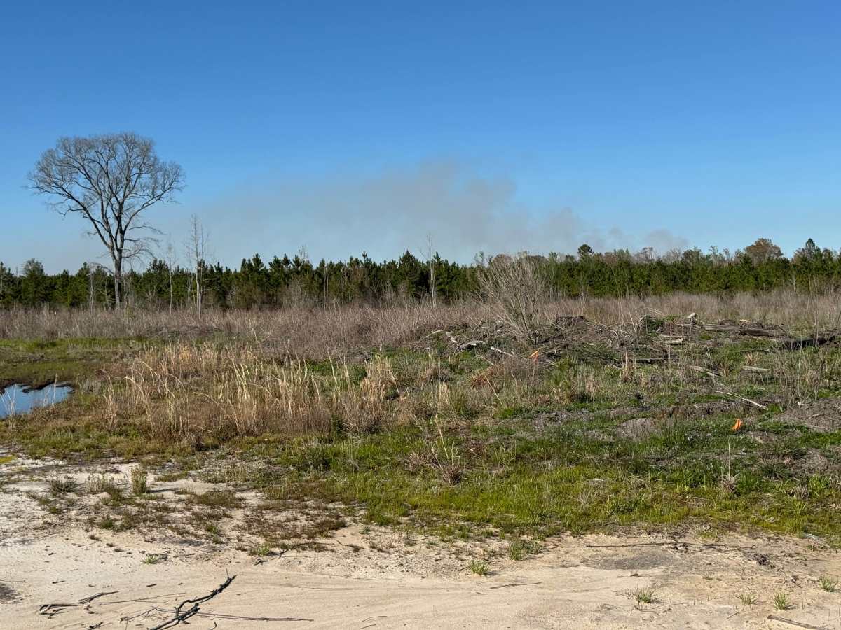 Sawgrass Road photo 2