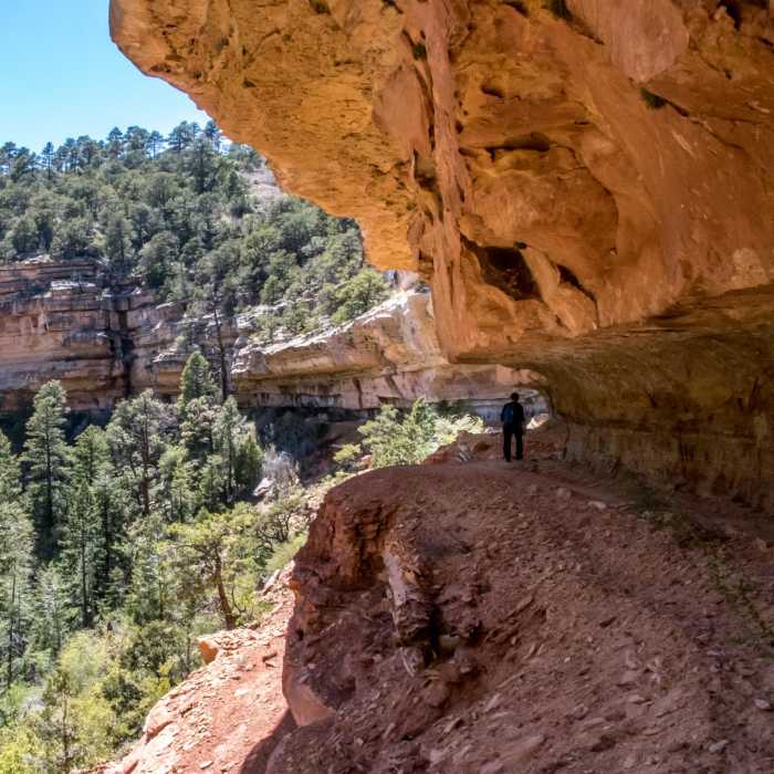 Near Cliff Springs Trail