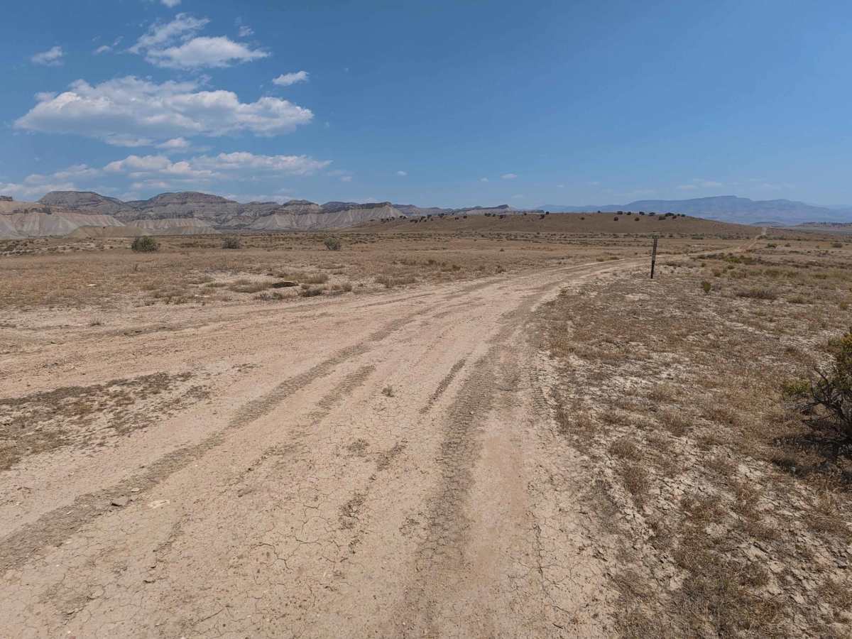 BLM 128 photo 4
