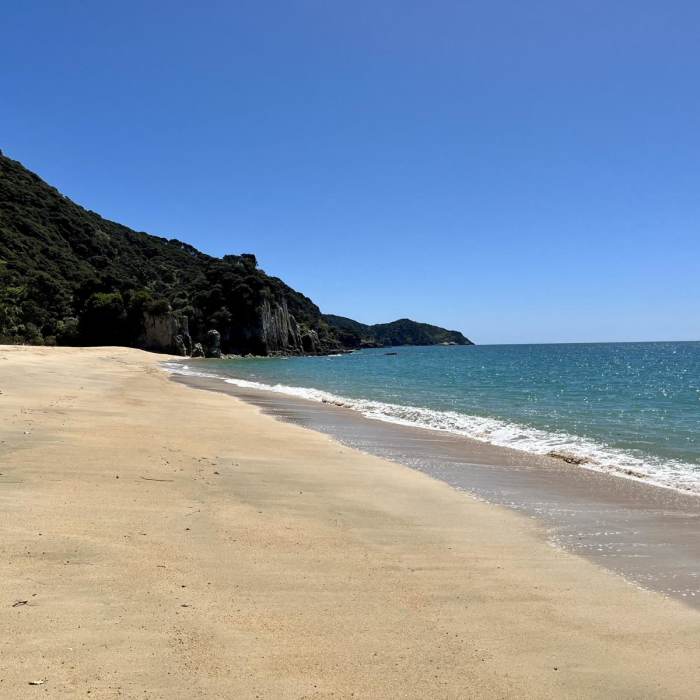 Near Separation Point Trail