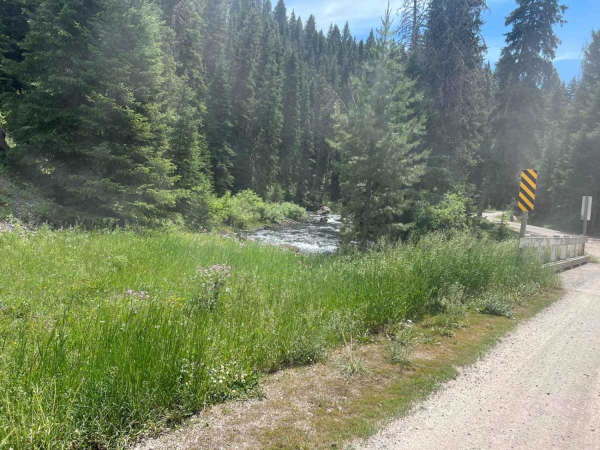 West Fork Madison (FS 209) photo 3