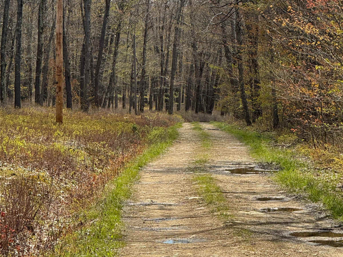 Old Dam Road photo 4