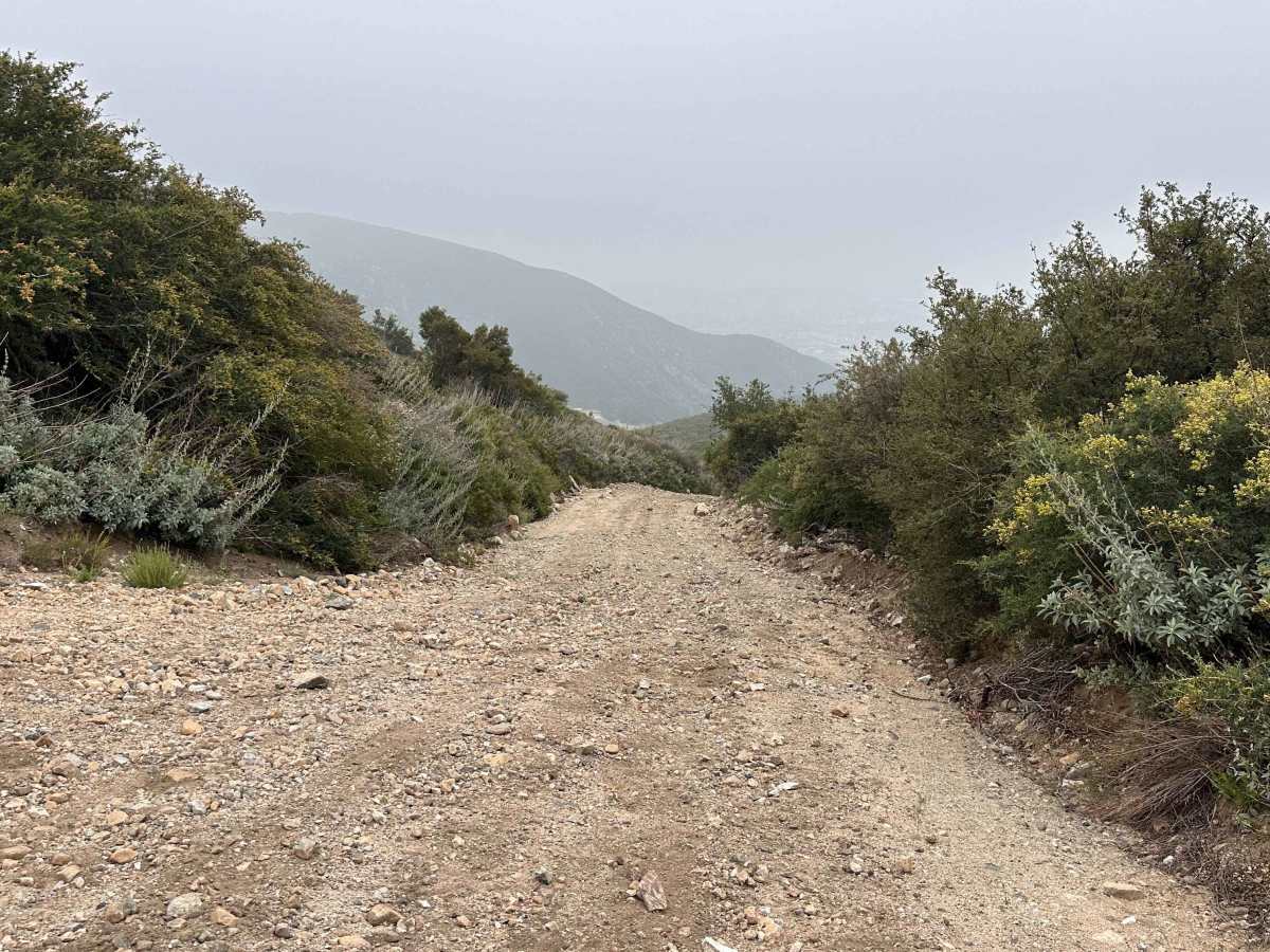 Wagon Track Trail trail photo