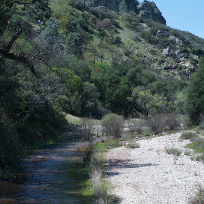 Near Old Pinnacles Trail
