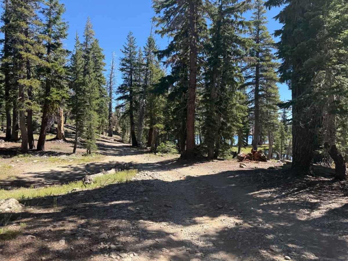 Lost Lakes Road - FS 31070 photo 6