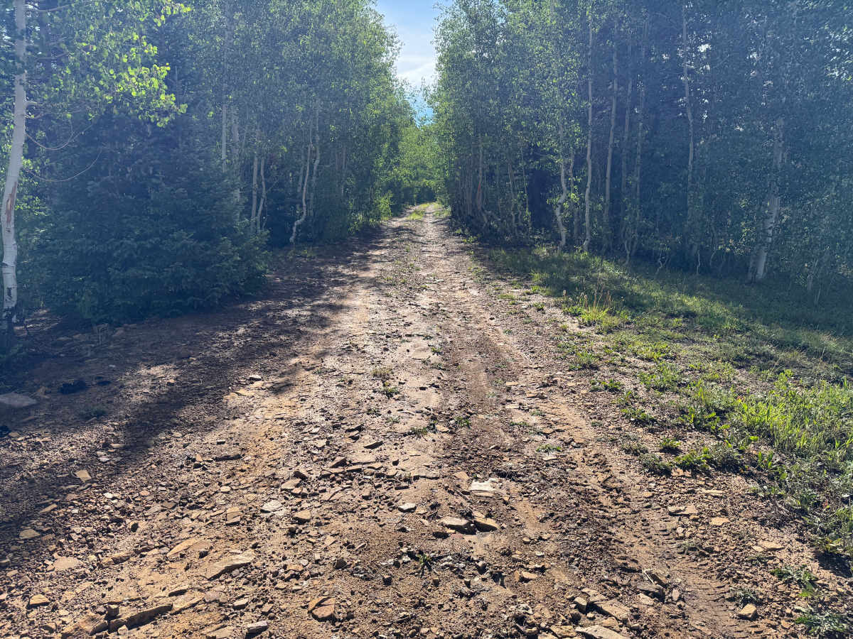 Little Hell Road photo 3