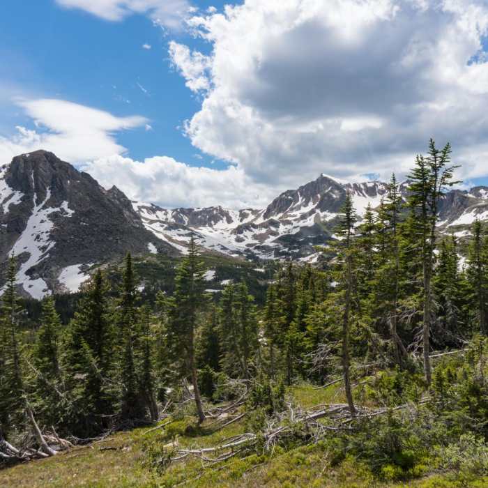 Near South Arapaho Peak