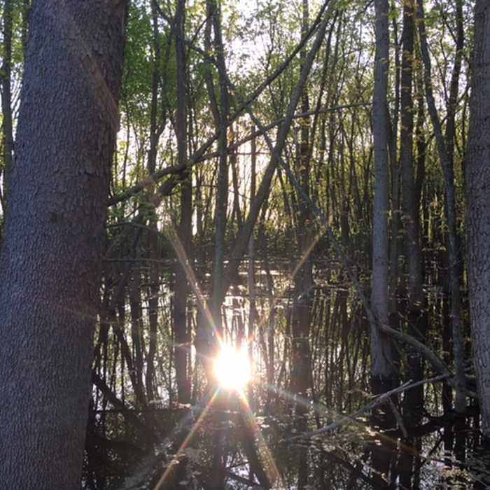 Near Gilmore Ponds Loop