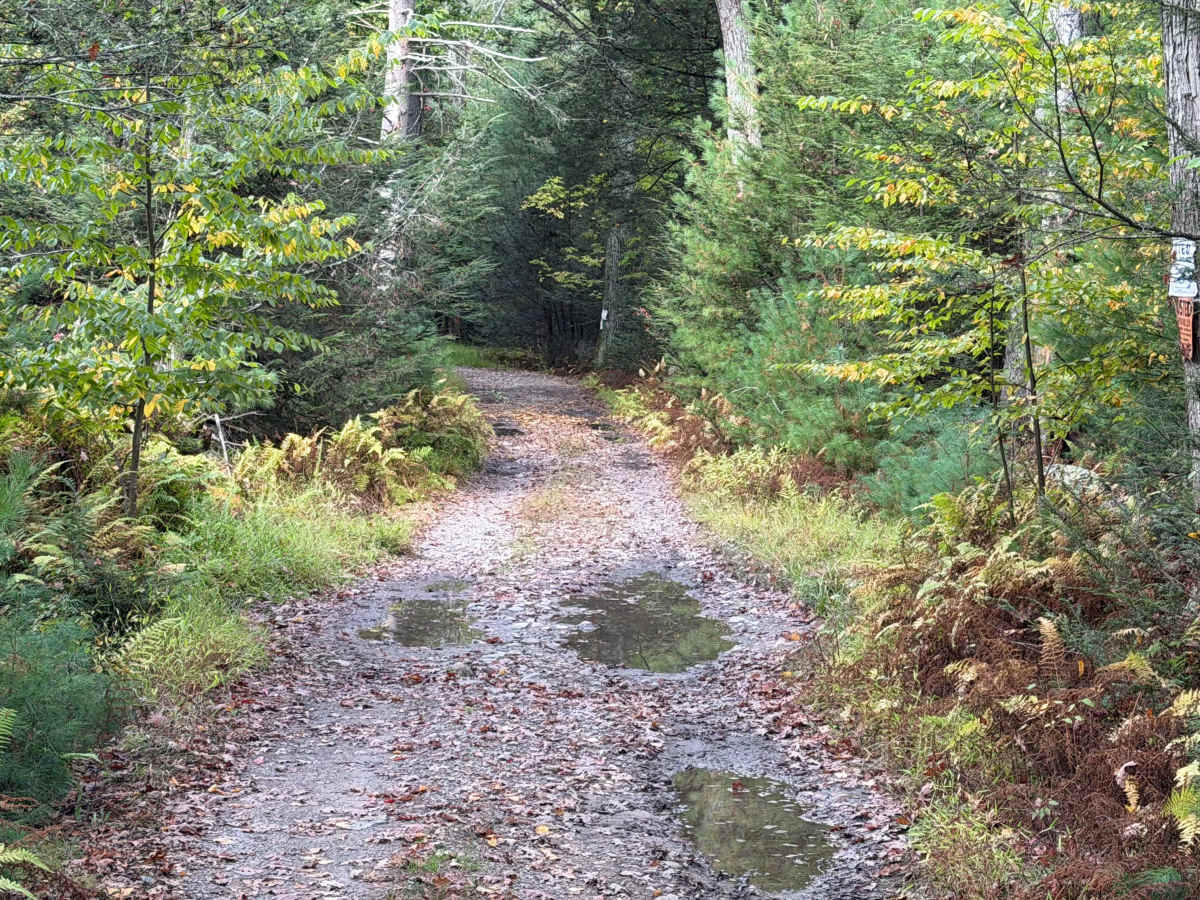 Eden Road photo 3