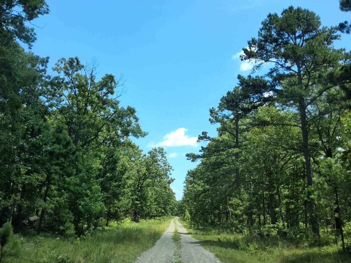Stewart Road photo 2