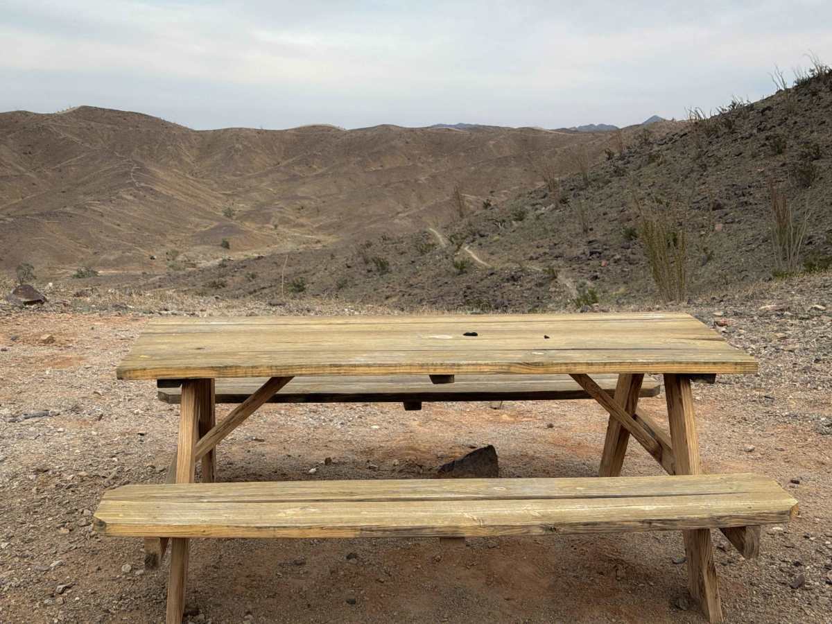 Picnic Table  photo 3