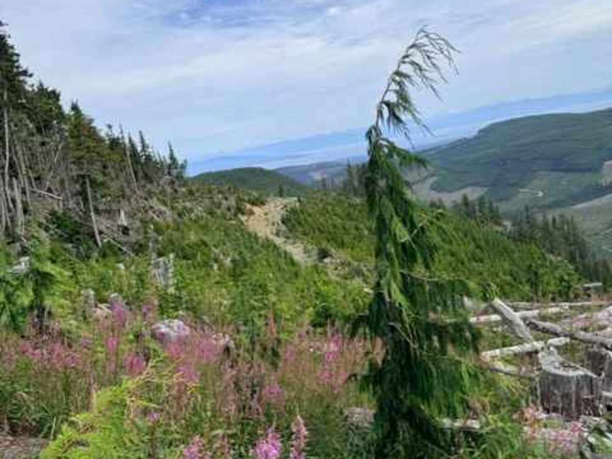 Marshall Lake Switchbacks photo 3